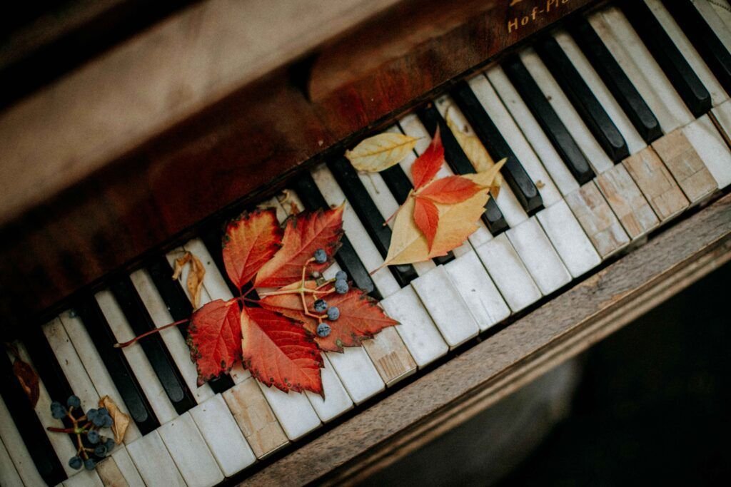 beautiful piano keyboard